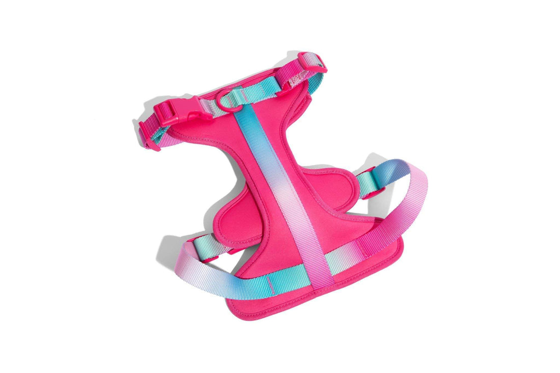 Stasia Dog Harness