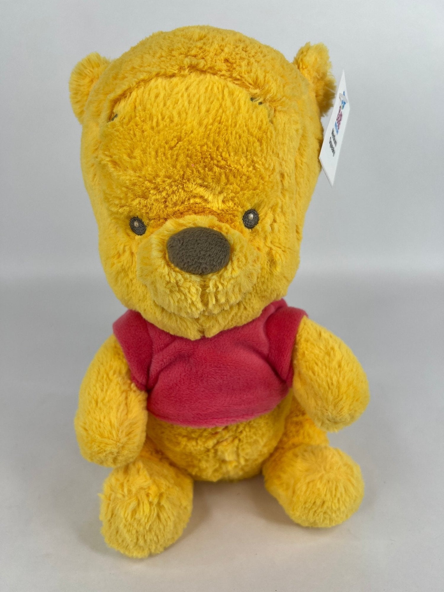 15% OFF! Winnie the Pooh Squeaky &amp; NO Squeak Dog Toys: All Sizes