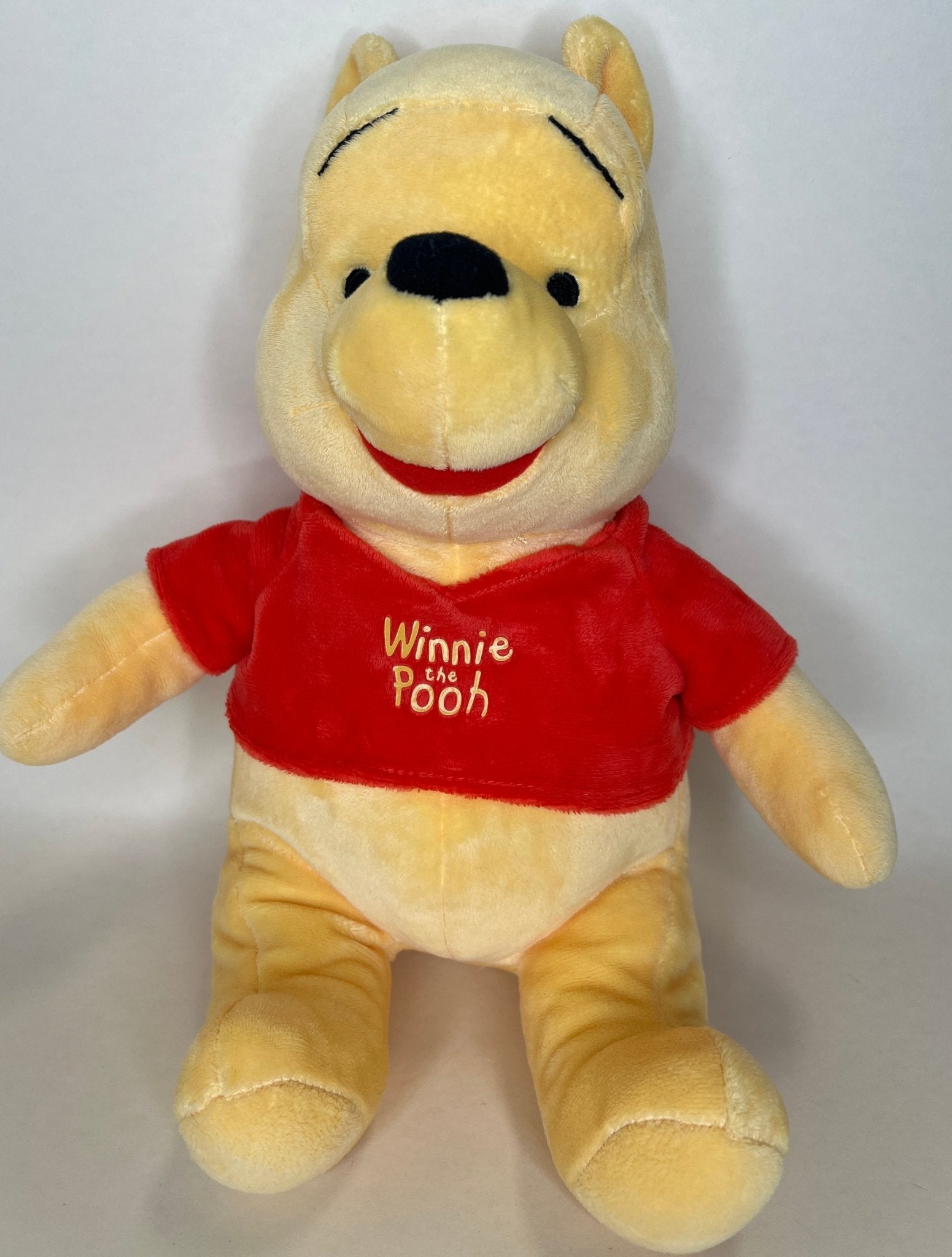 15% OFF! Winnie the Pooh Squeaky &amp; NO Squeak Dog Toys: All Sizes