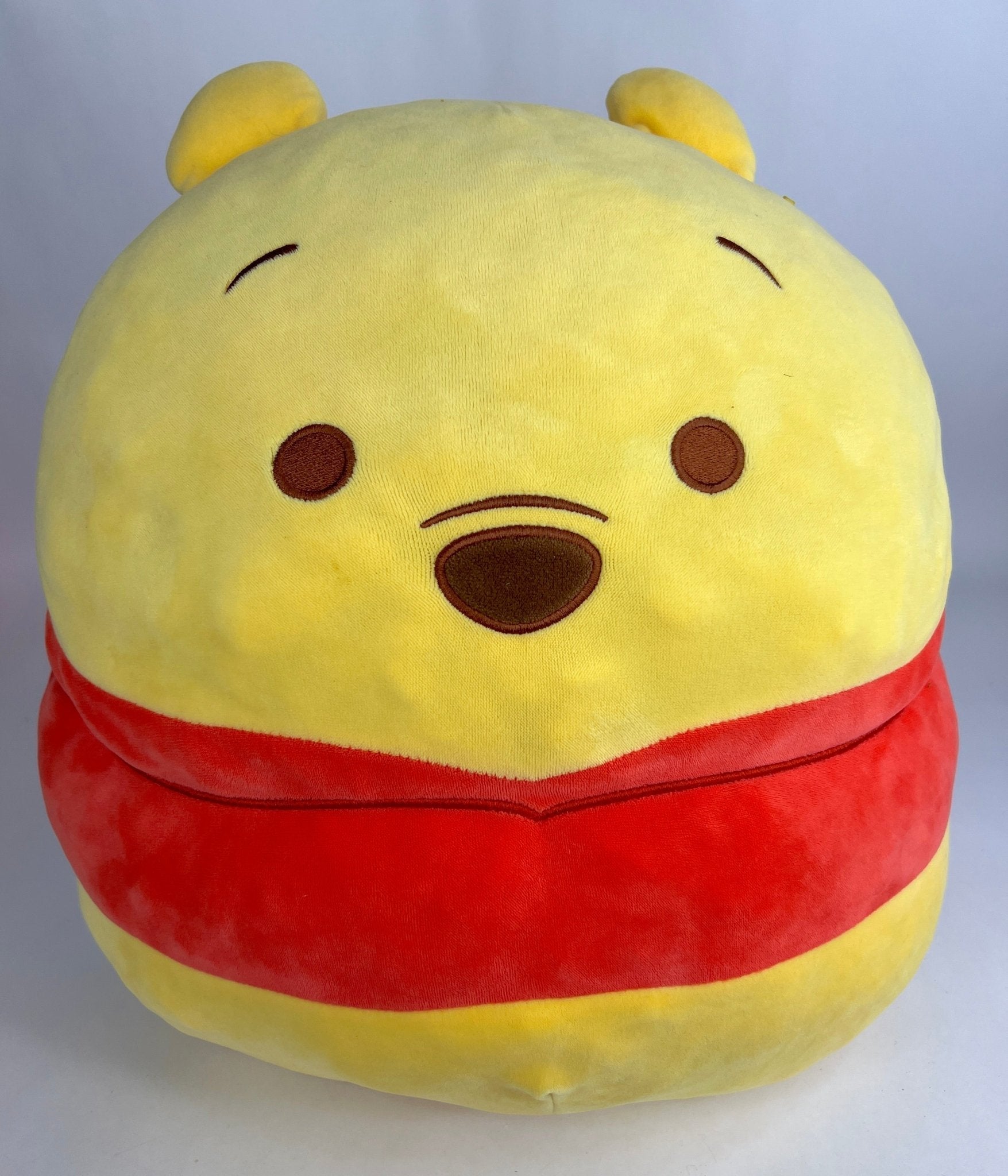15% OFF! Winnie the Pooh Squeaky &amp; NO Squeak Dog Toys: All Sizes