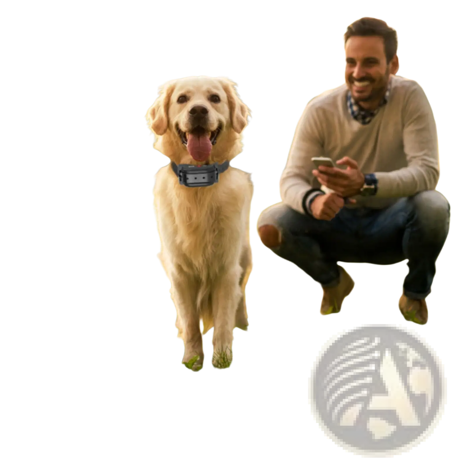 Wireless Dog Fence System with Gps Location Monitor Collar