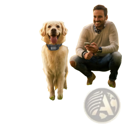 Wireless Dog Fence System with Gps Location Monitor Collar
