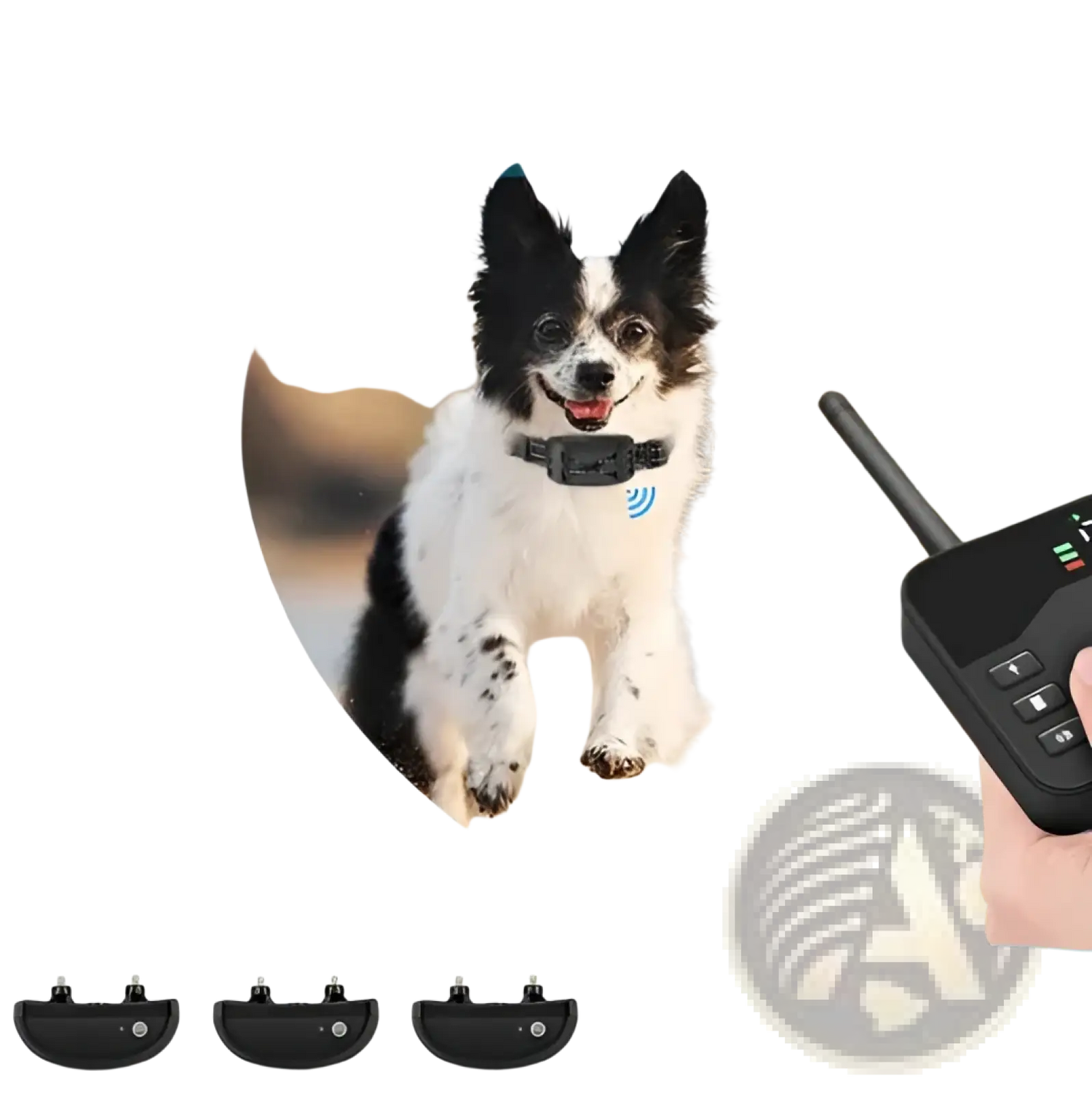 Wireless Dog Fence and Training Collar System 2 in 1