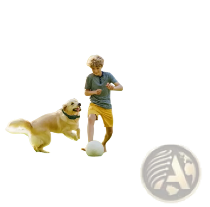 Wireless Dog Fence and Training Collar System Ipx6